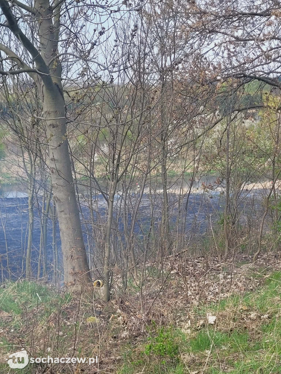 Pożar traw za Czwórką