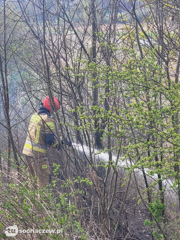 Pożar traw za Czwórką