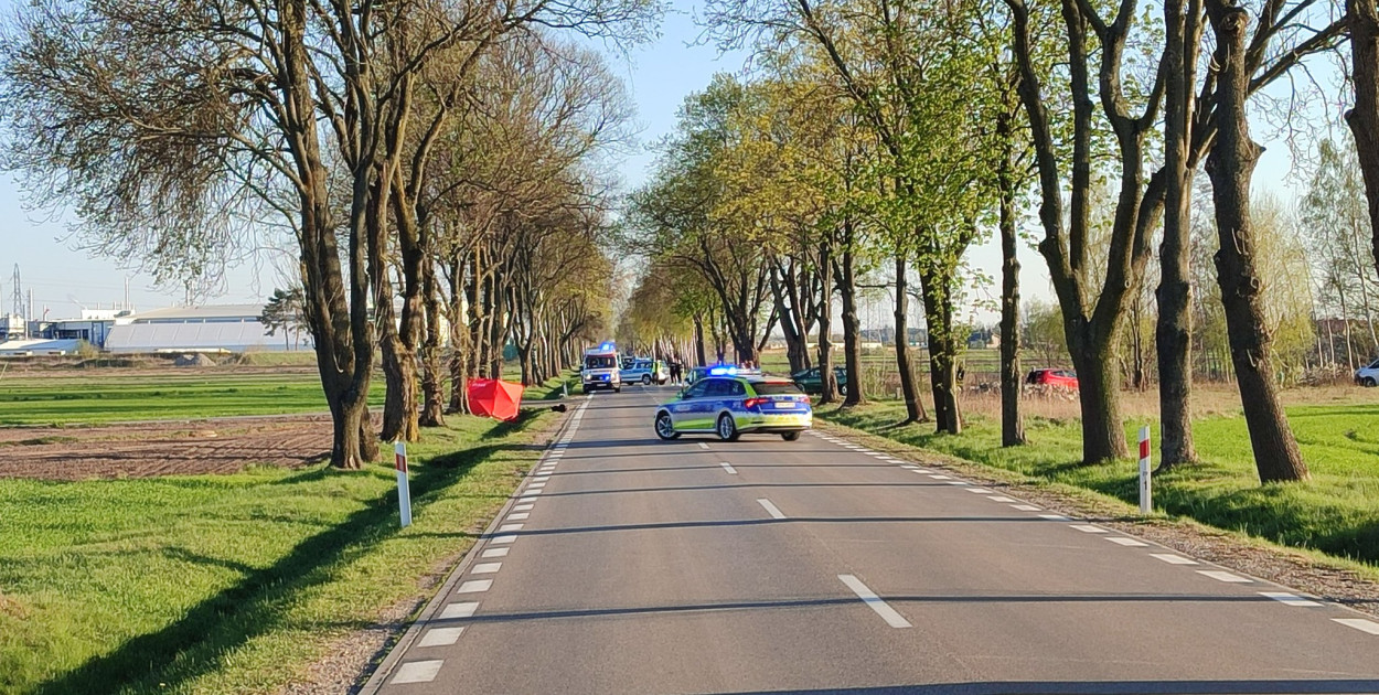 Śmiertelny wypadek na DW 705