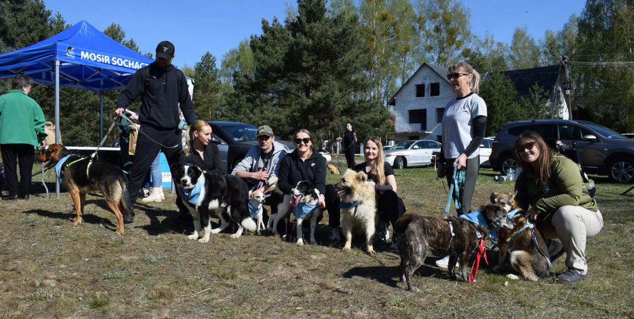 Tłum czworonogów na Biegu z Psem w Karwowie