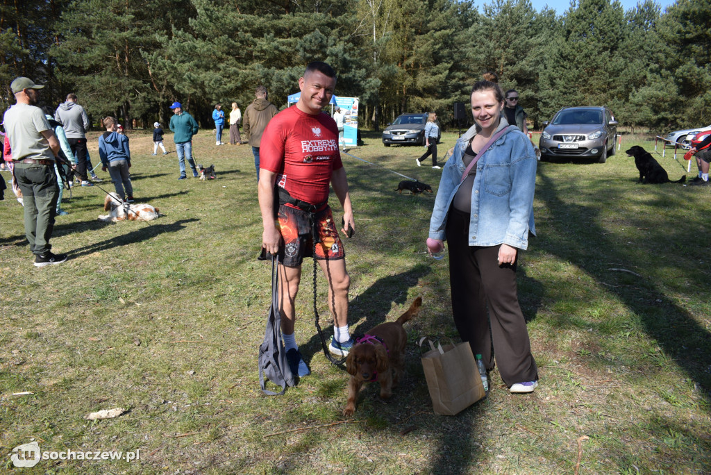 Tłum czworonogów na Biegu z Psem w Karwowie