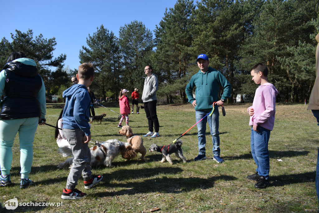 Tłum czworonogów na Biegu z Psem w Karwowie