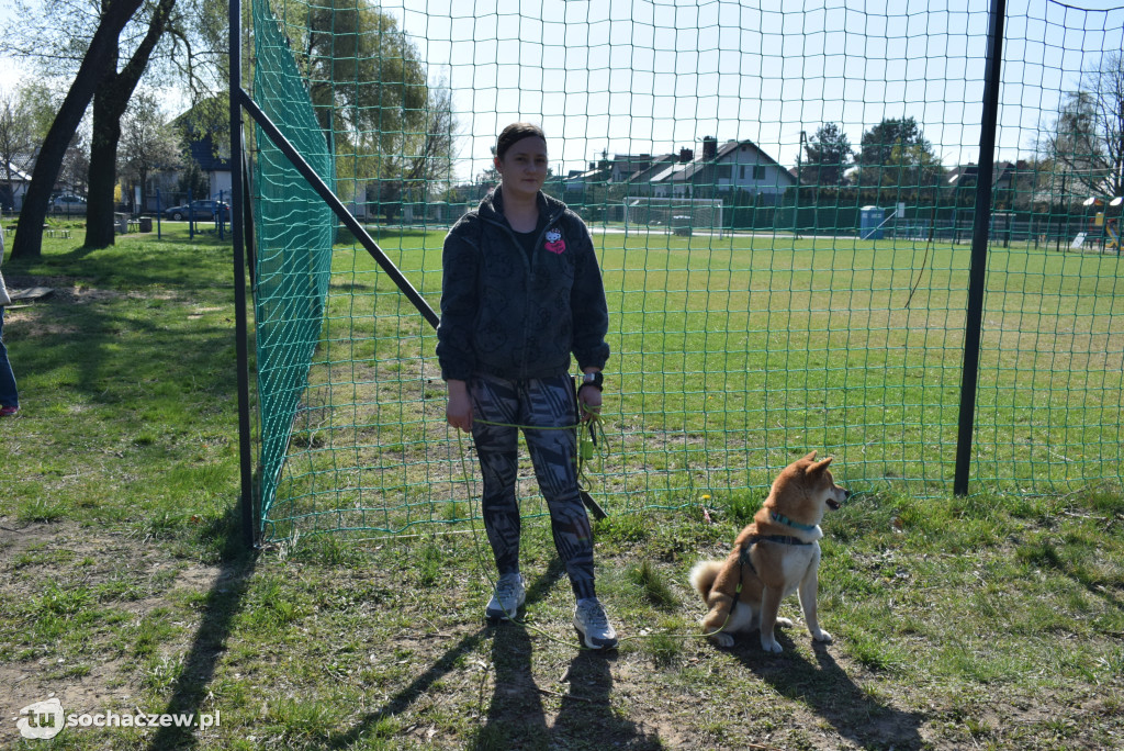 Tłum czworonogów na Biegu z Psem w Karwowie