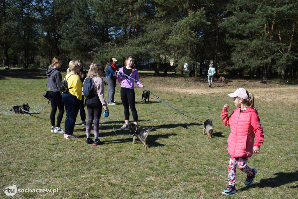 Tłum czworonogów na Biegu z Psem w Karwowie
