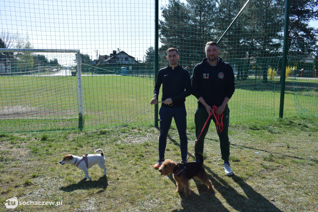 Tłum czworonogów na Biegu z Psem w Karwowie
