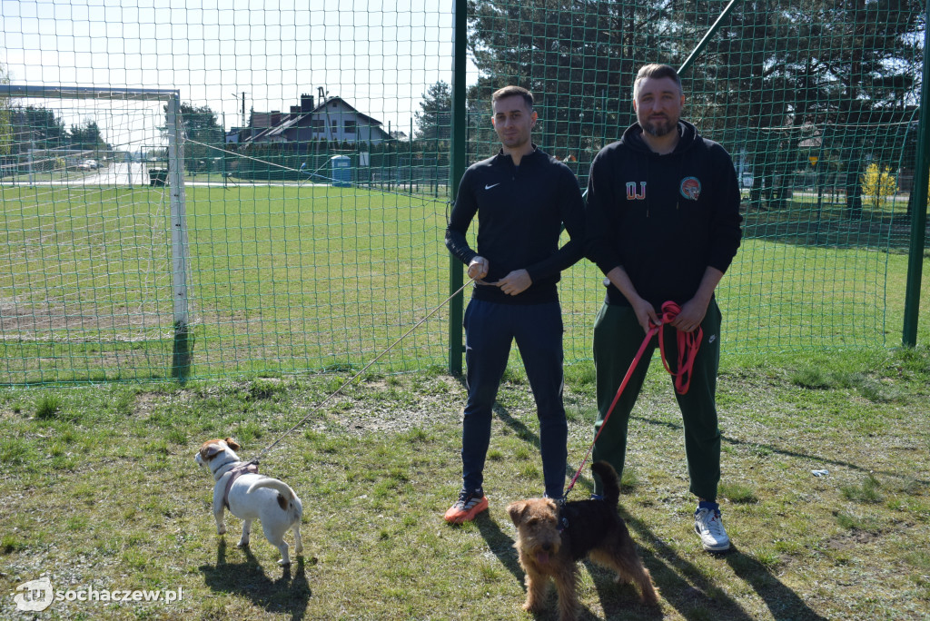 Tłum czworonogów na Biegu z Psem w Karwowie