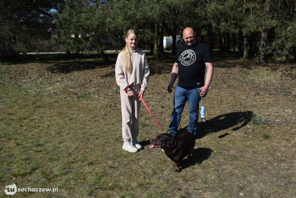 Tłum czworonogów na Biegu z Psem w Karwowie