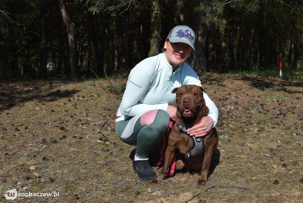 Tłum czworonogów na Biegu z Psem w Karwowie
