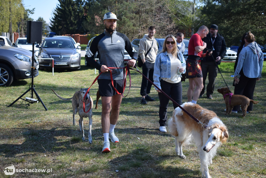 Tłum czworonogów na Biegu z Psem w Karwowie