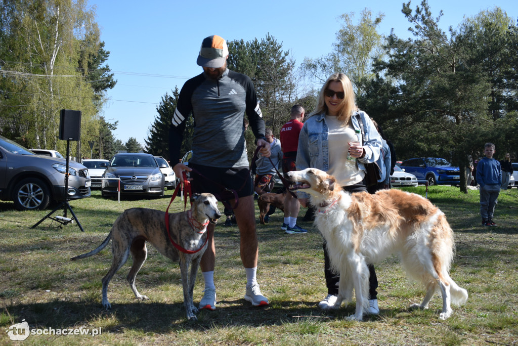Tłum czworonogów na Biegu z Psem w Karwowie