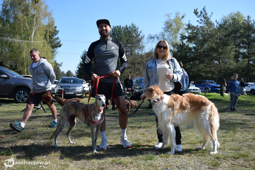 Tłum czworonogów na Biegu z Psem w Karwowie