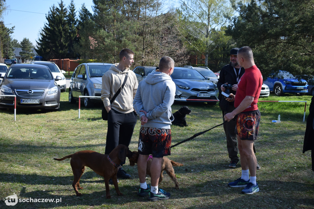 Tłum czworonogów na Biegu z Psem w Karwowie