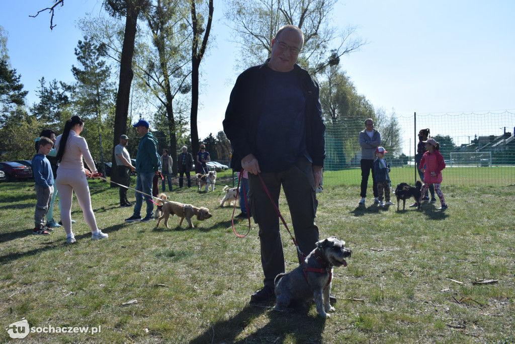 Tłum czworonogów na Biegu z Psem w Karwowie