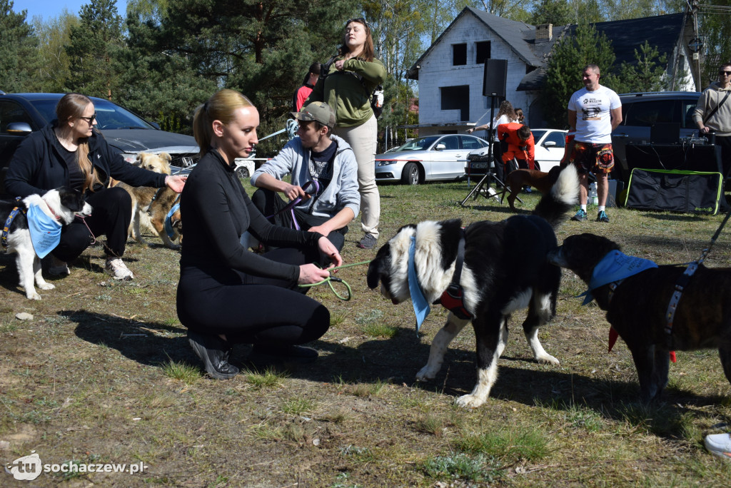 Tłum czworonogów na Biegu z Psem w Karwowie