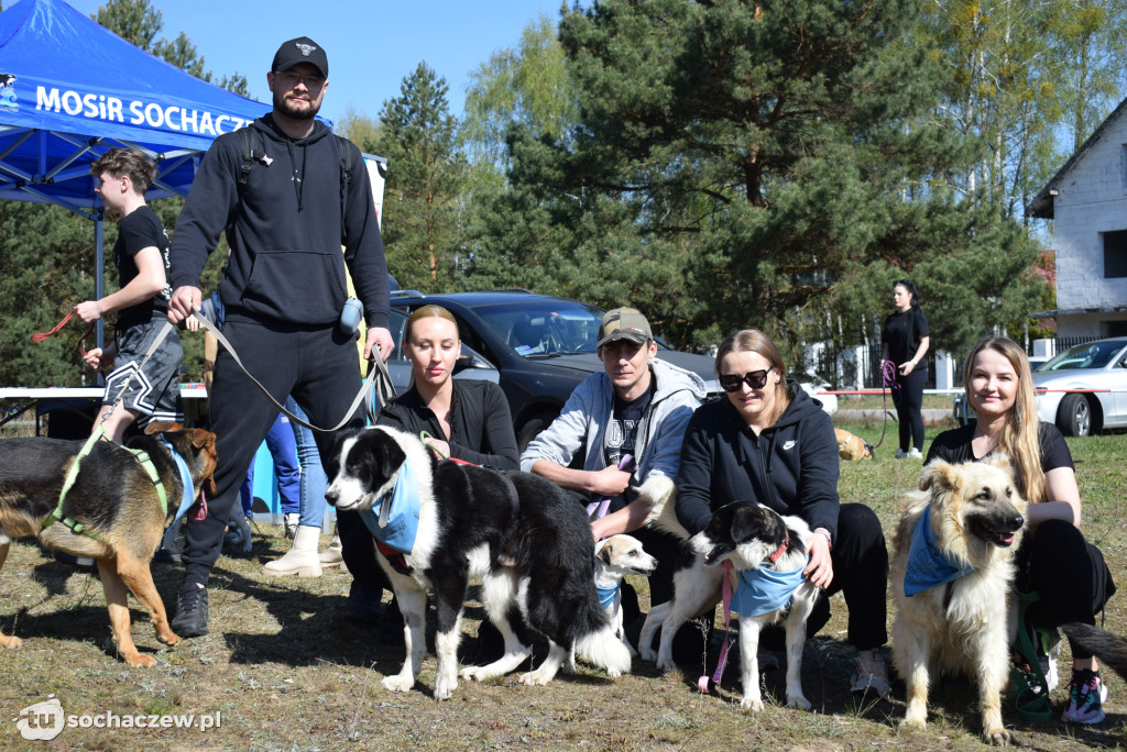 Tłum czworonogów na Biegu z Psem w Karwowie