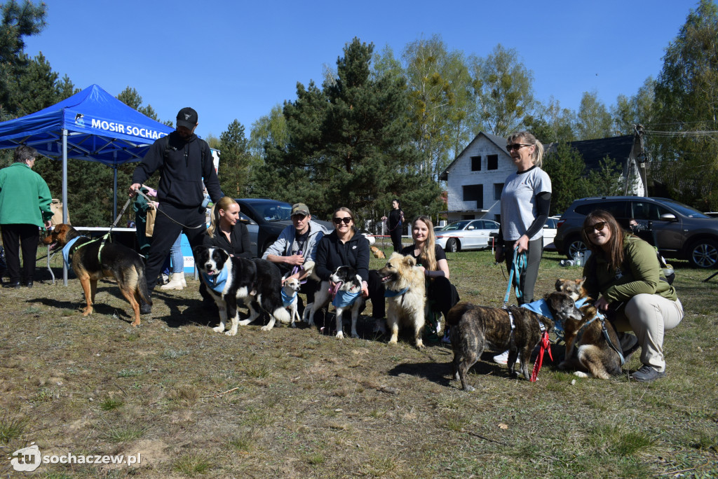 Tłum czworonogów na Biegu z Psem w Karwowie