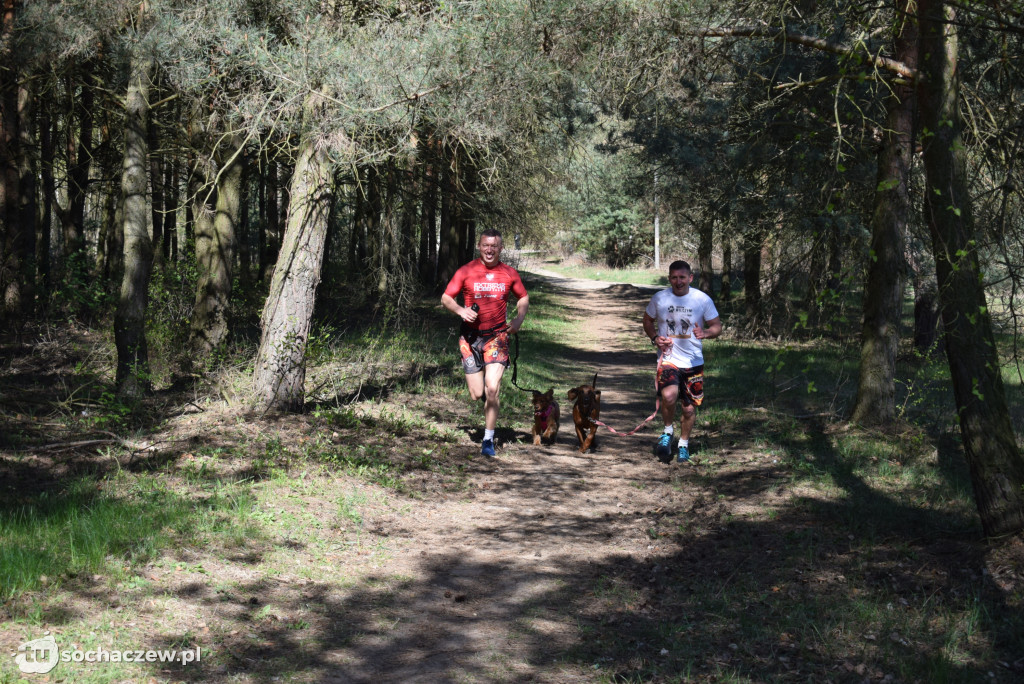 Tłum czworonogów na Biegu z Psem w Karwowie