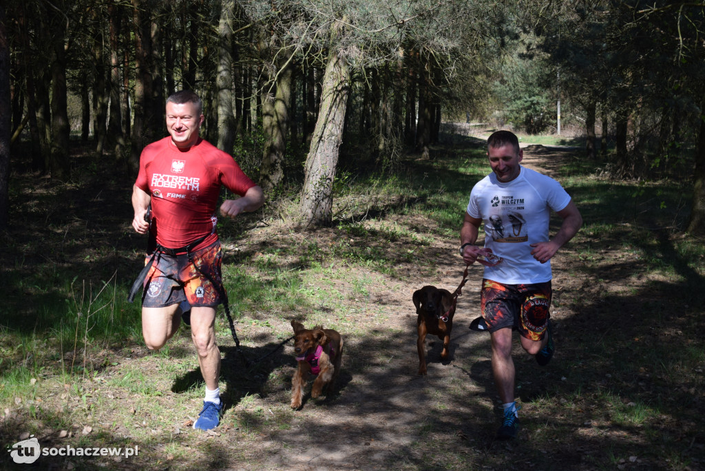 Tłum czworonogów na Biegu z Psem w Karwowie