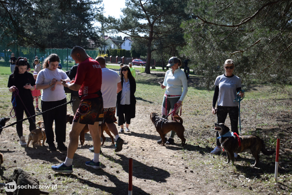 Tłum czworonogów na Biegu z Psem w Karwowie