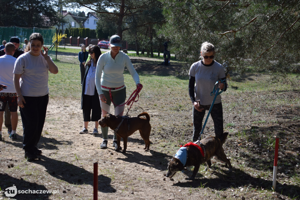 Tłum czworonogów na Biegu z Psem w Karwowie