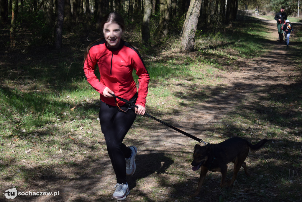 Tłum czworonogów na Biegu z Psem w Karwowie
