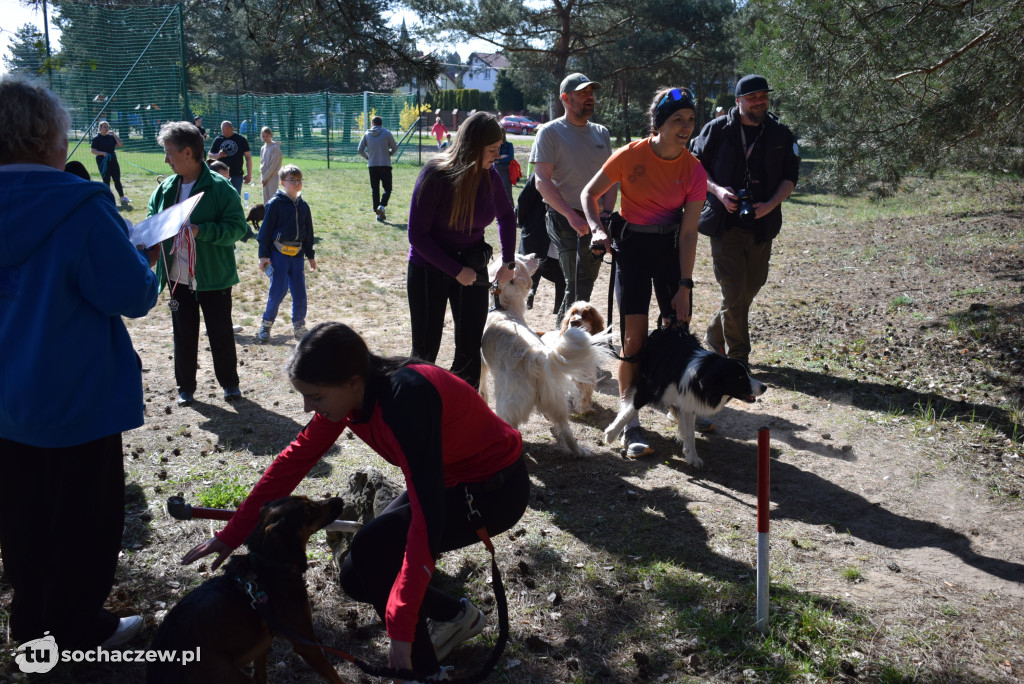 Tłum czworonogów na Biegu z Psem w Karwowie