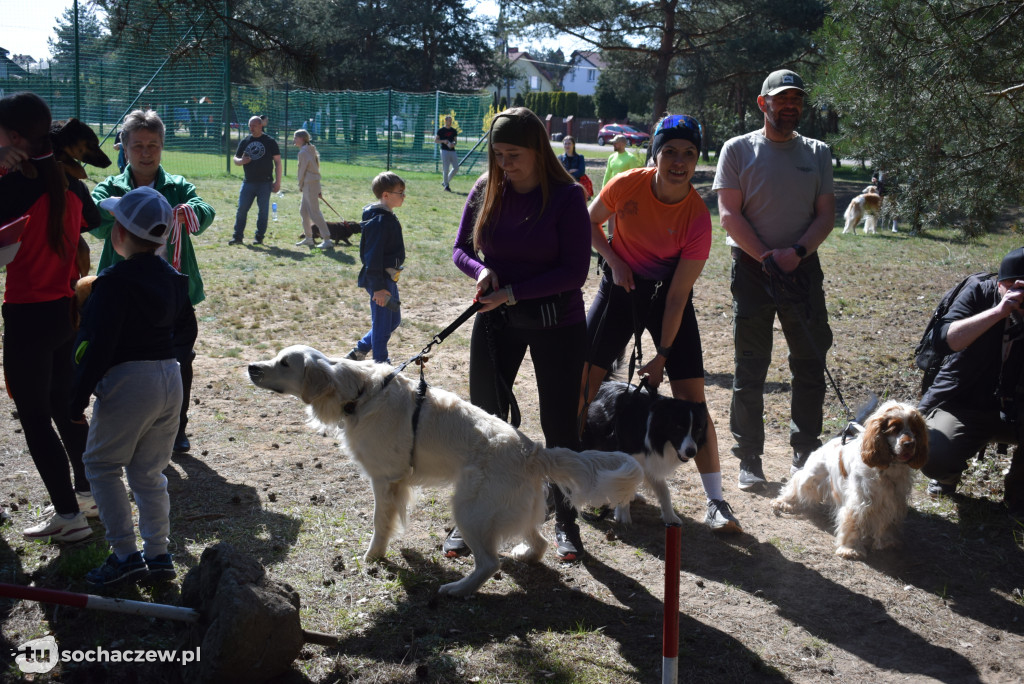 Tłum czworonogów na Biegu z Psem w Karwowie
