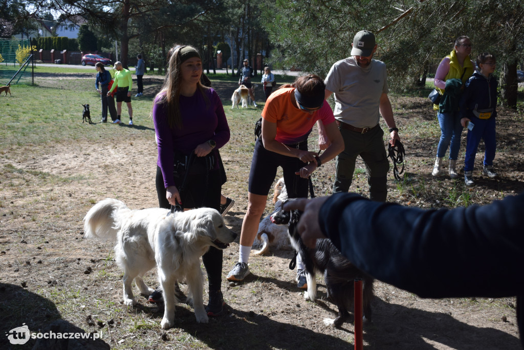 Tłum czworonogów na Biegu z Psem w Karwowie