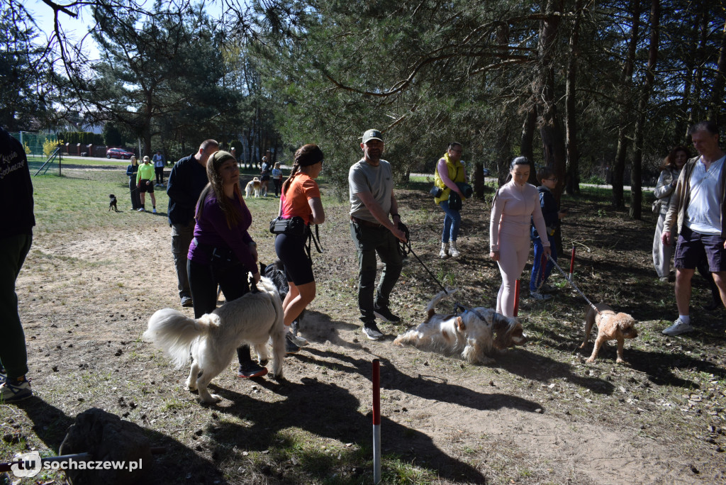 Tłum czworonogów na Biegu z Psem w Karwowie