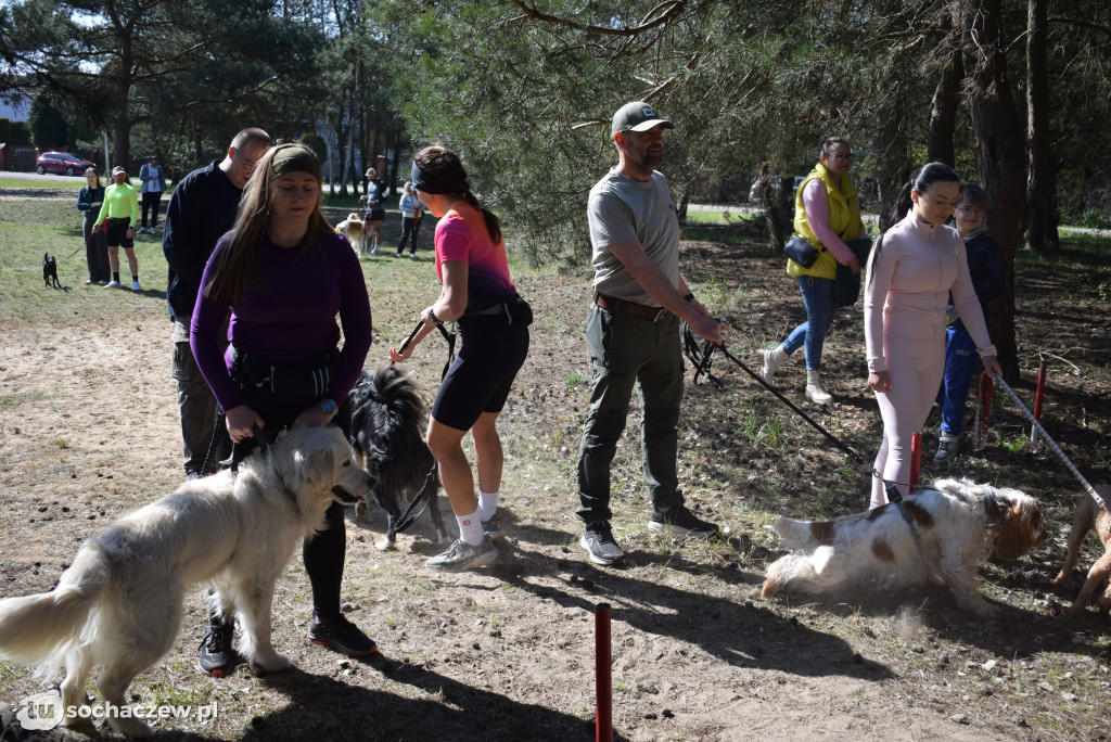 Tłum czworonogów na Biegu z Psem w Karwowie