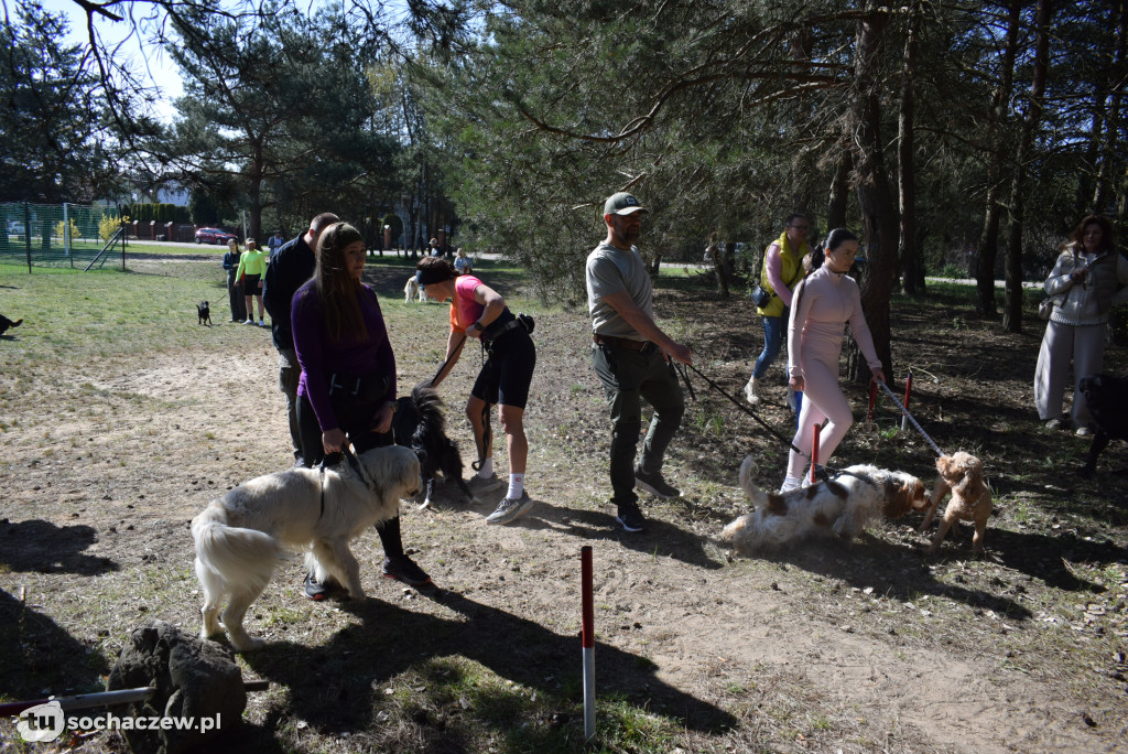 Tłum czworonogów na Biegu z Psem w Karwowie