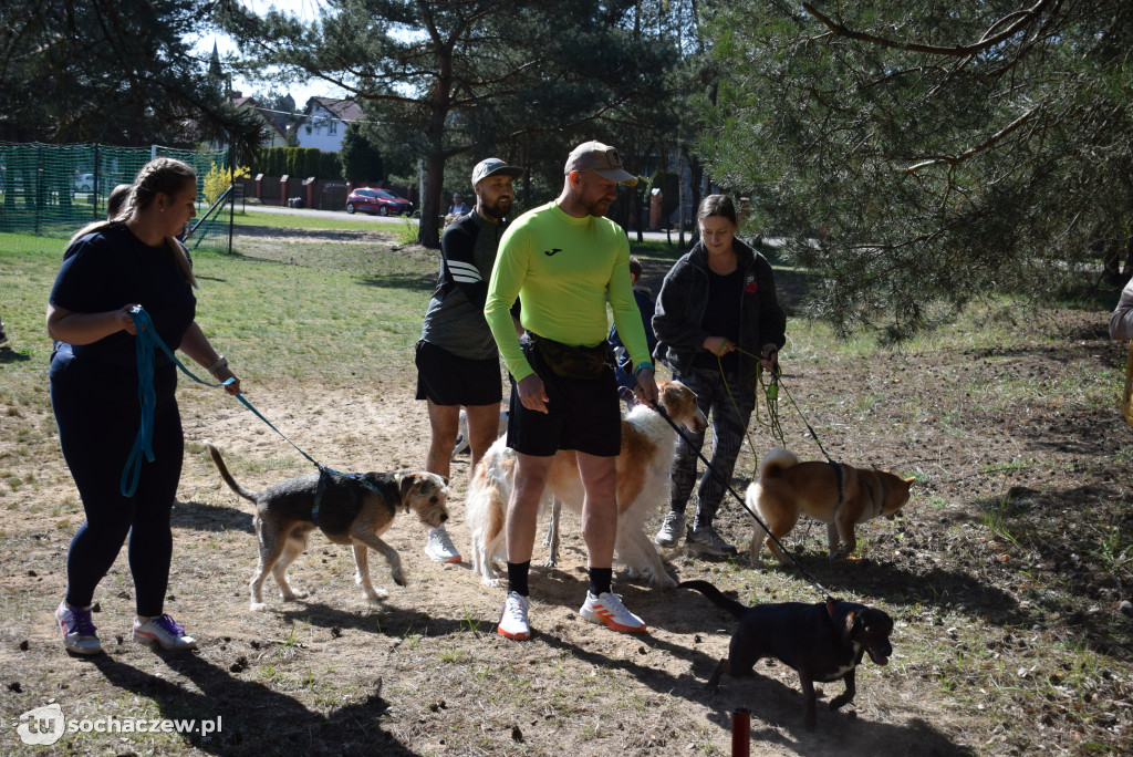 Tłum czworonogów na Biegu z Psem w Karwowie