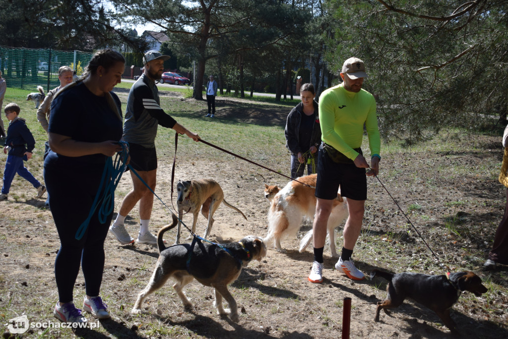 Tłum czworonogów na Biegu z Psem w Karwowie