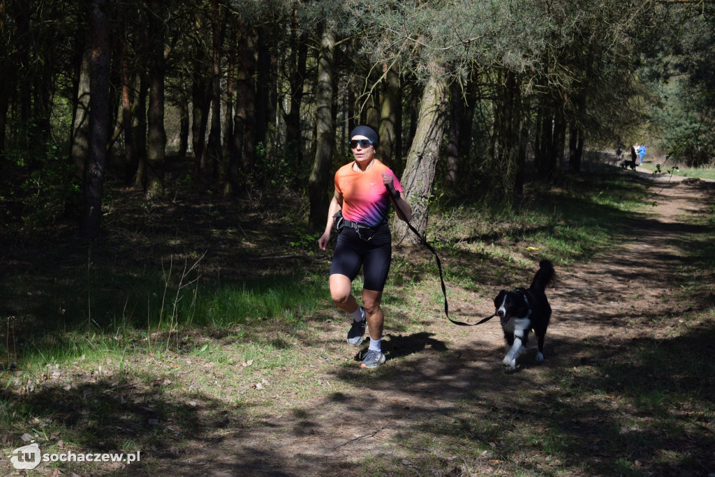 Tłum czworonogów na Biegu z Psem w Karwowie