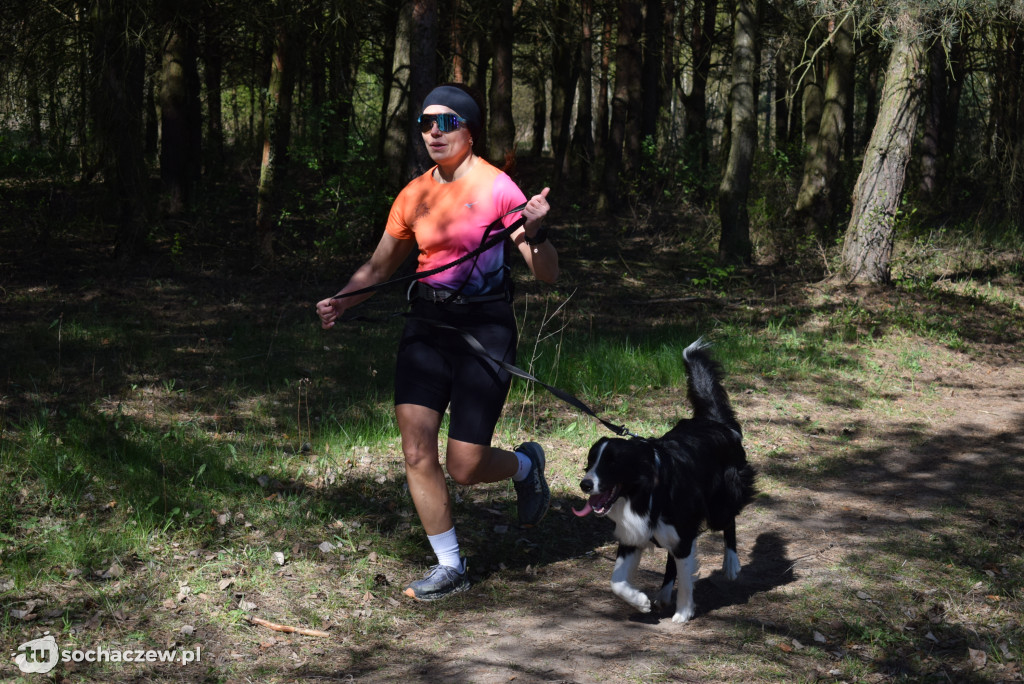Tłum czworonogów na Biegu z Psem w Karwowie