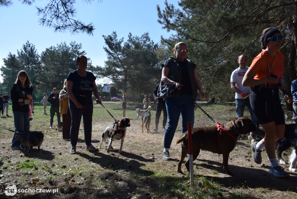 Tłum czworonogów na Biegu z Psem w Karwowie