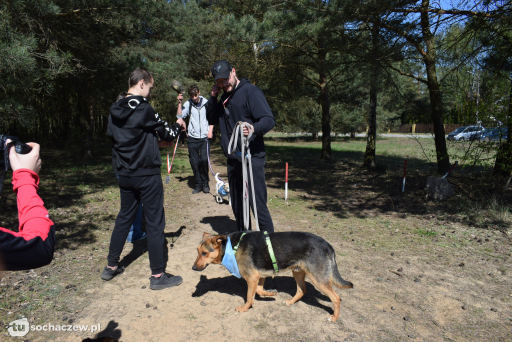 Tłum czworonogów na Biegu z Psem w Karwowie