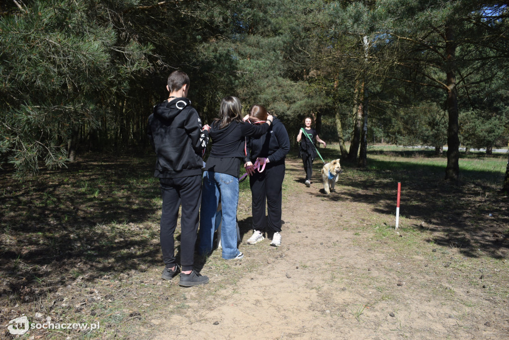 Tłum czworonogów na Biegu z Psem w Karwowie