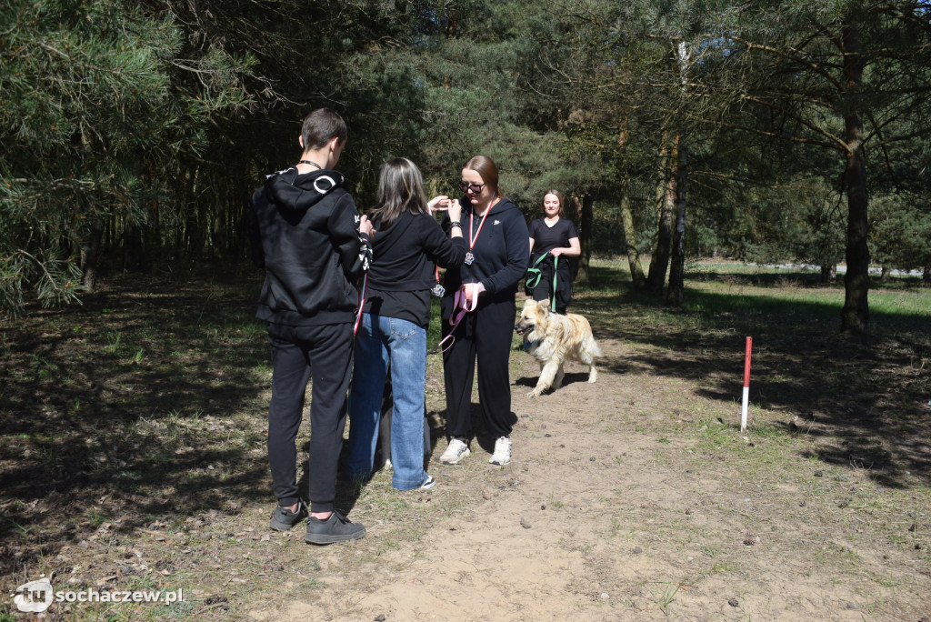 Tłum czworonogów na Biegu z Psem w Karwowie