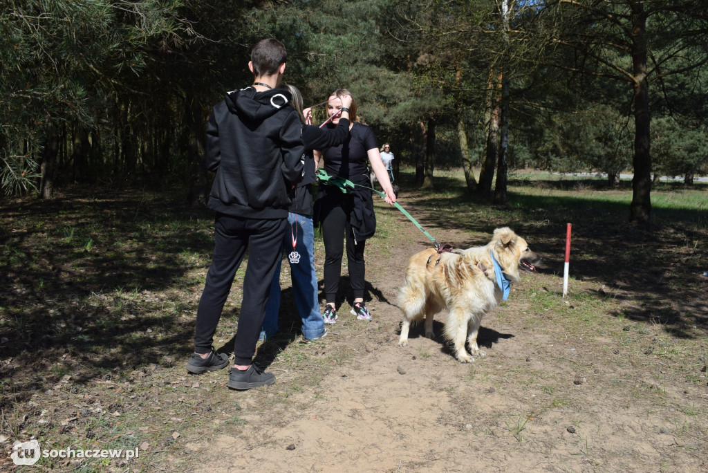 Tłum czworonogów na Biegu z Psem w Karwowie