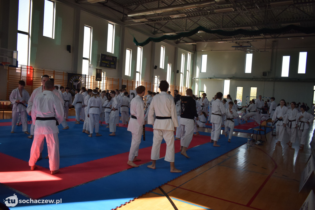 Najlepsi karatecy na sochaczewskich matach