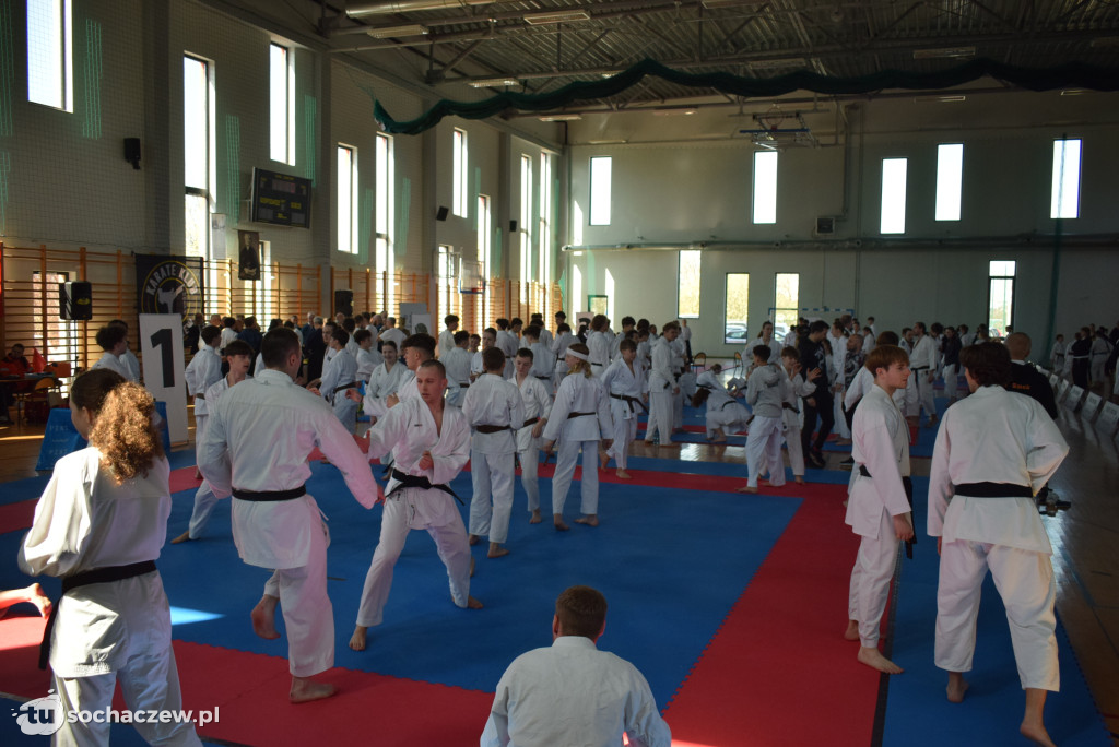 Najlepsi karatecy na sochaczewskich matach