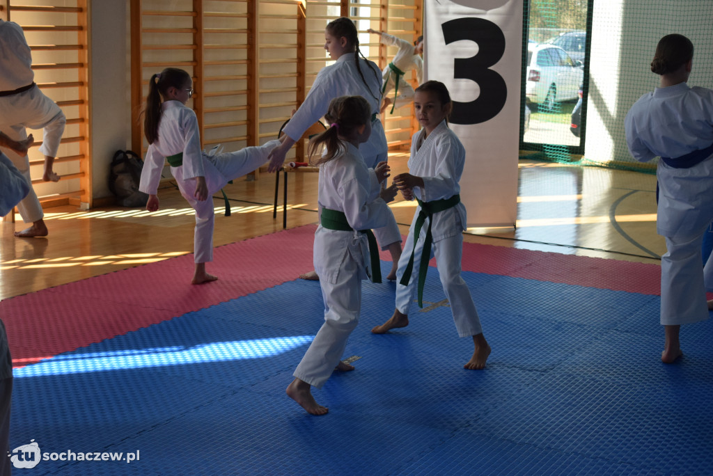 Najlepsi karatecy na sochaczewskich matach