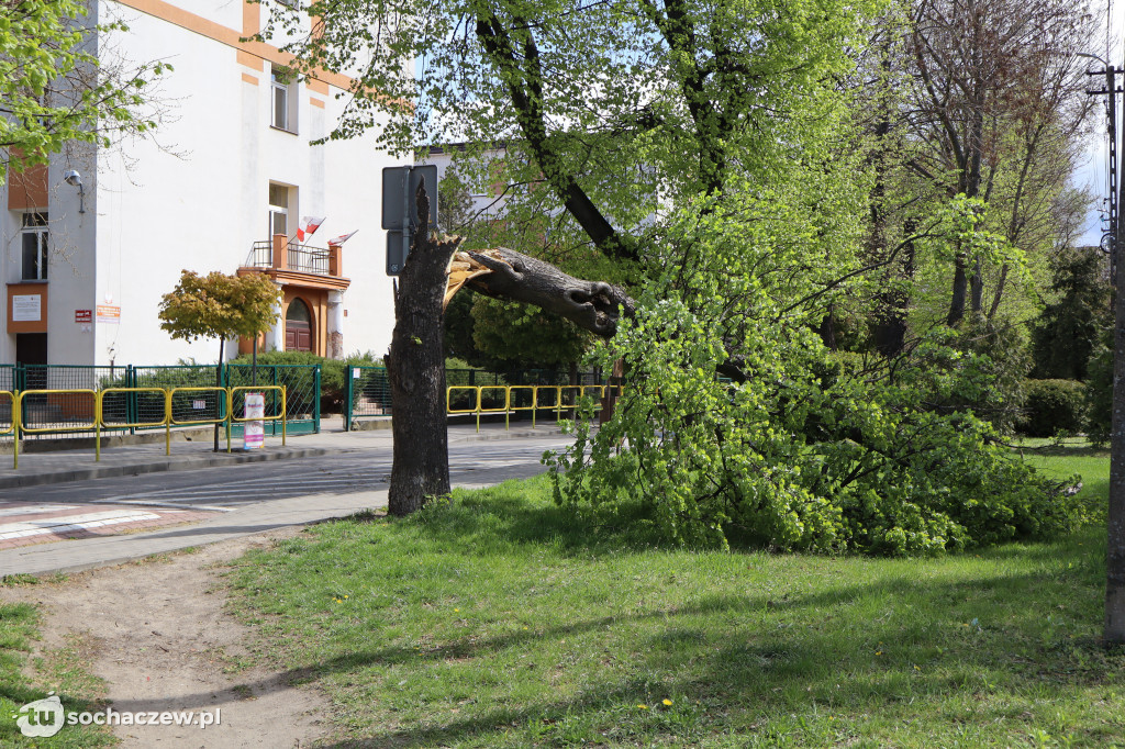 Rozpoczęcie sezonu w Wąskotorówce