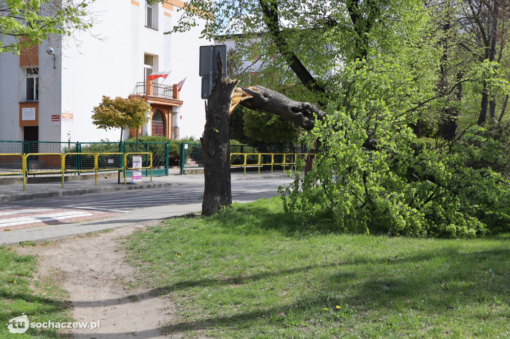 Rozpoczęcie sezonu w Wąskotorówce