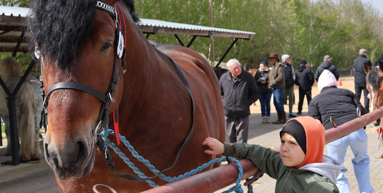 III Jarmark Rolniczy w Kozłowie Biskup 2026 [FOTO]