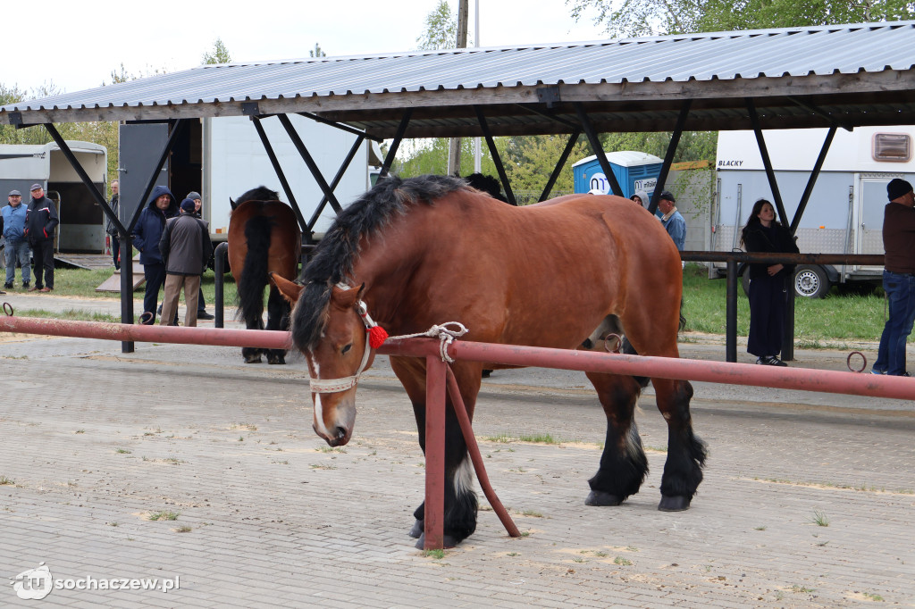III Jarmark Rolniczy w Kozłowie Biskup 2026 [FOTO]