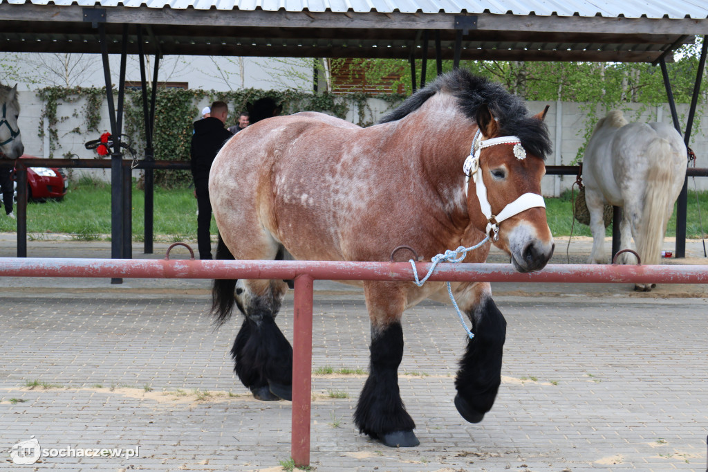 III Jarmark Rolniczy w Kozłowie Biskup 2026 [FOTO]