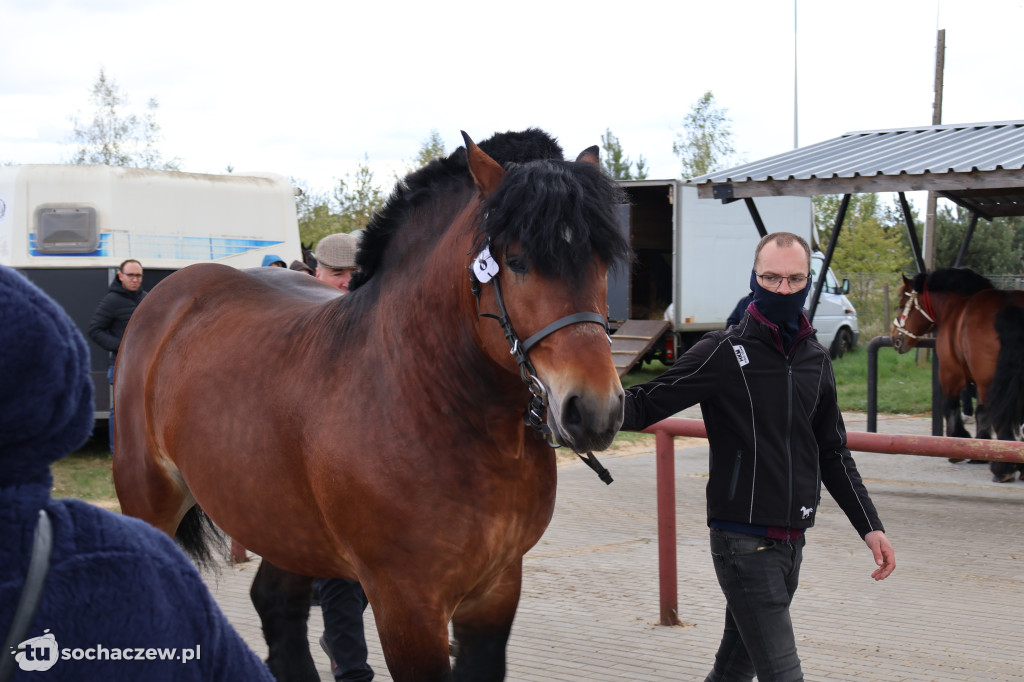 III Jarmark Rolniczy w Kozłowie Biskup 2026 [FOTO]