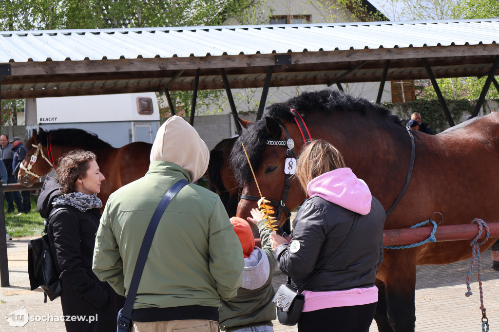 III Jarmark Rolniczy w Kozłowie Biskup 2026 [FOTO]